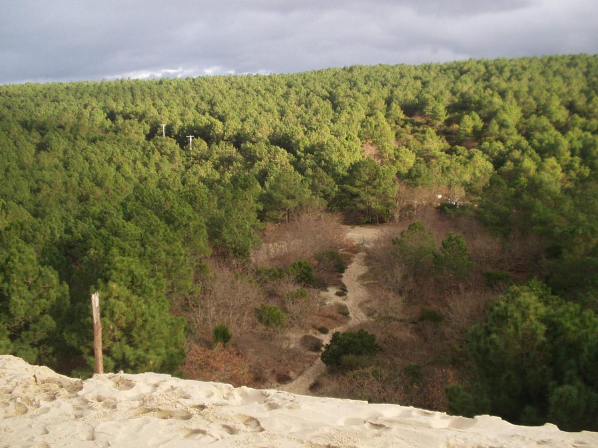 ביסקארוס Les Amandiers מראה חיצוני תמונה